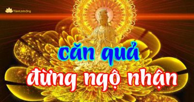 Đừng Ngộ Nhận Mình Có “CĂN”